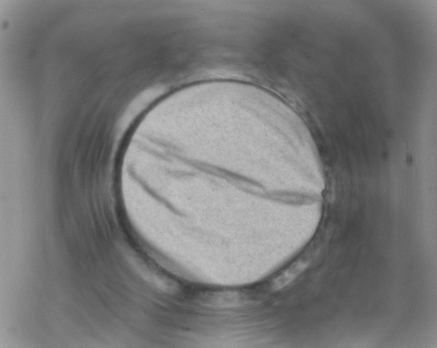 X0000076350104200610272130