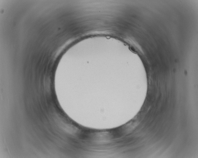 X0000076350108200610272130