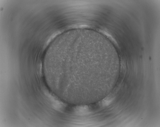 X0000076350110200610272130