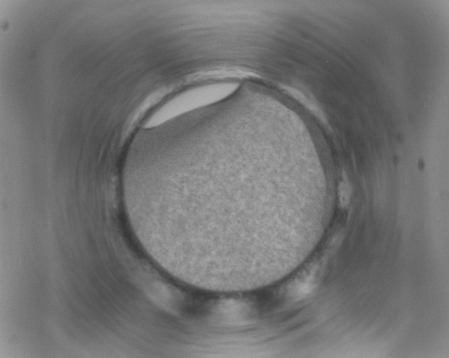 X0000076350111200610272130