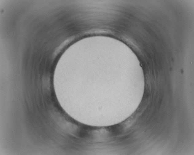 X0000076350112200610272130