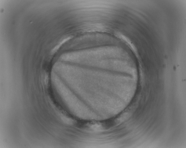 X0000076350113200610272130