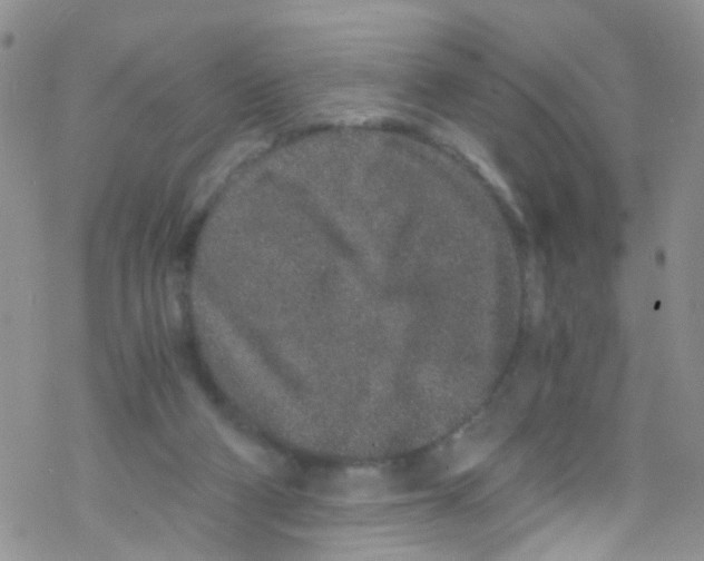 X0000076350114200610272130