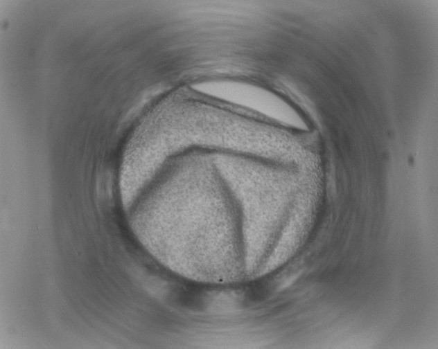 X0000076350115200610272130