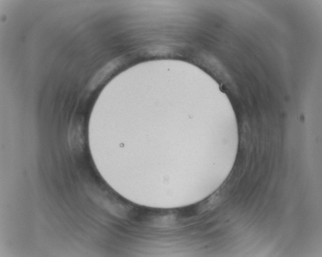 X0000076350116200610272130