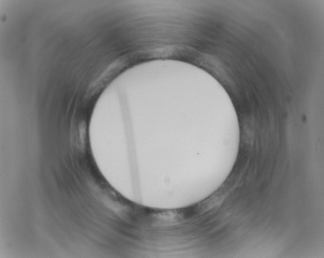 X0000076350118200610272130