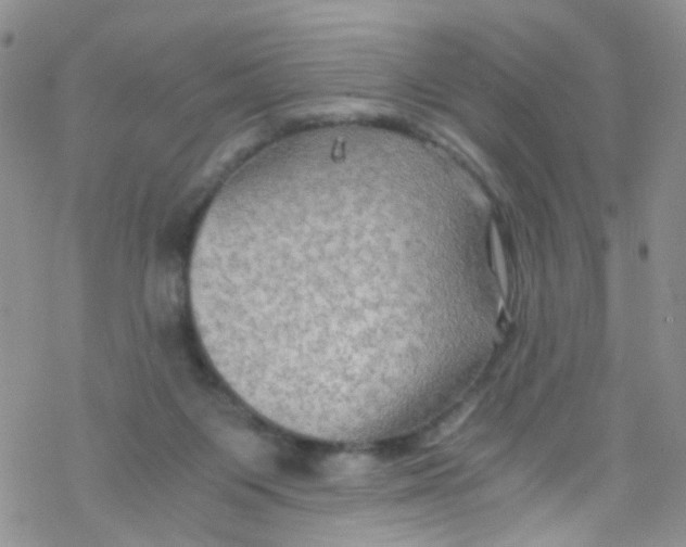 X0000076350119200610272130