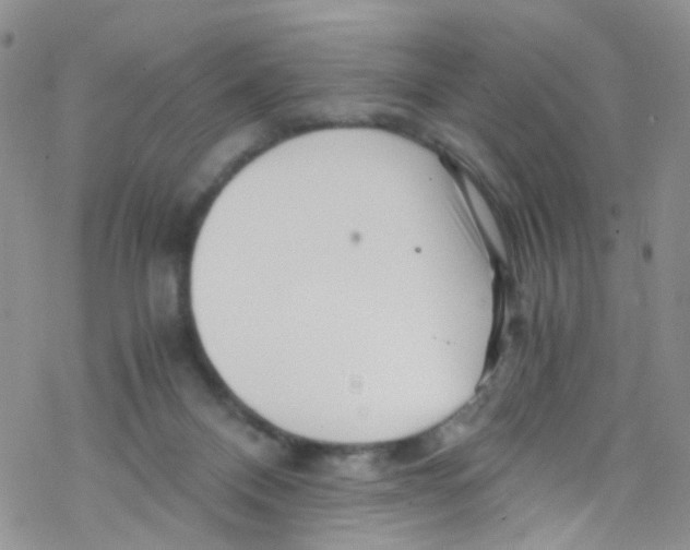 X0000076350120200610272130