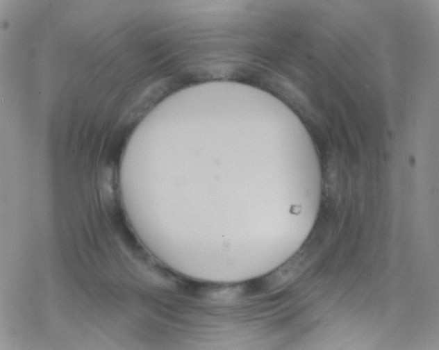 X0000076350122200610272130