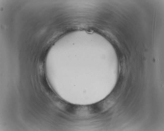 X0000076350123200610272129