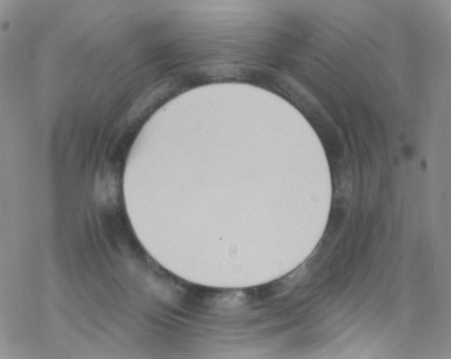 X0000076350124200610272129