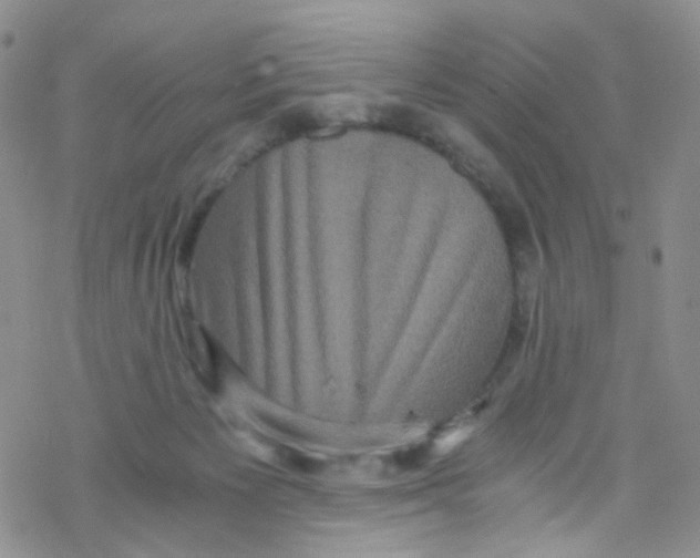 X0000076350125200610272129