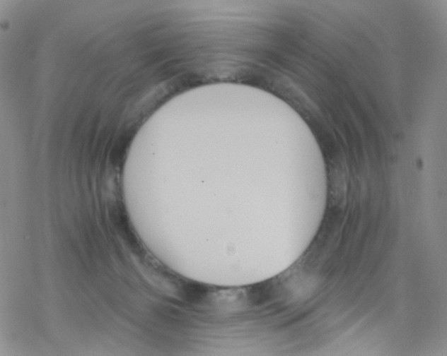 X0000076350126200610272129