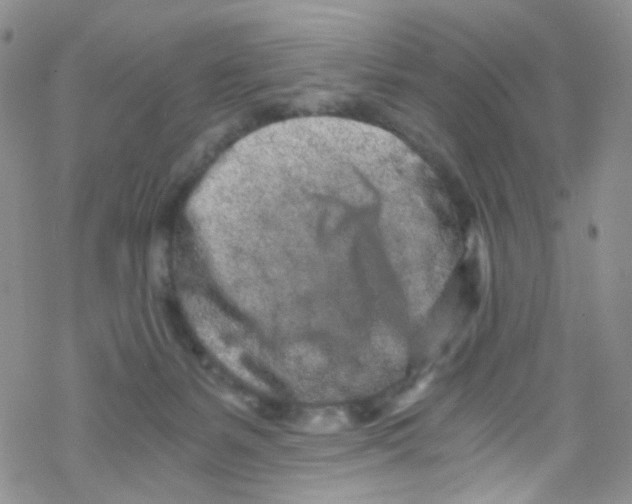 X0000076350127200610272129