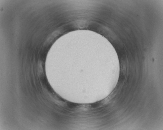 X0000076350128200610272129