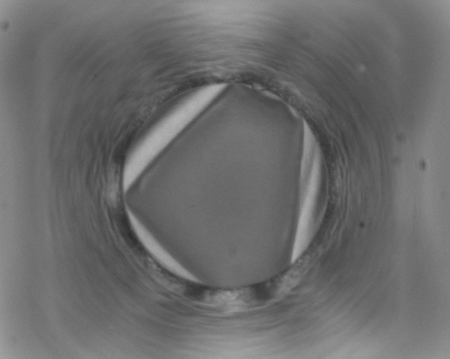 X0000076350129200610272129