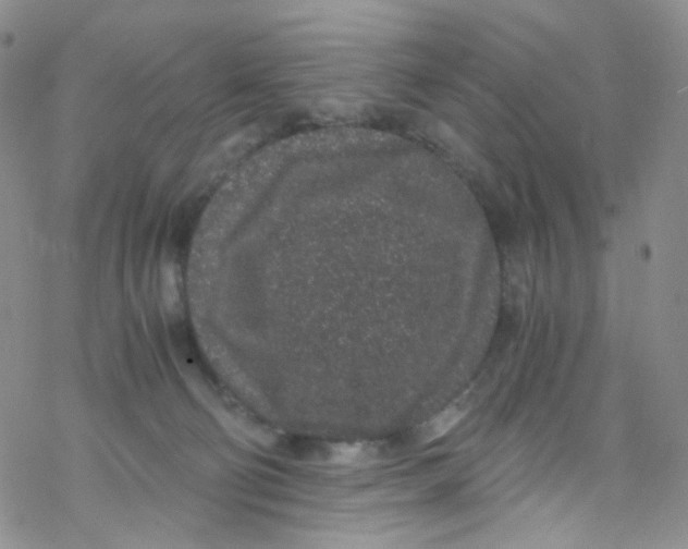 X0000076350130200610272129