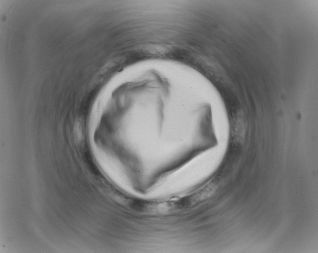 X0000076350131200610272129