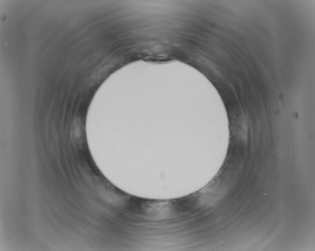 X0000076350132200610272129