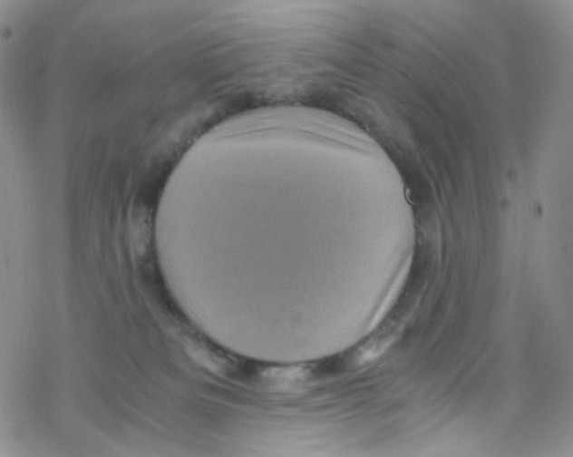 X0000076350133200610272129