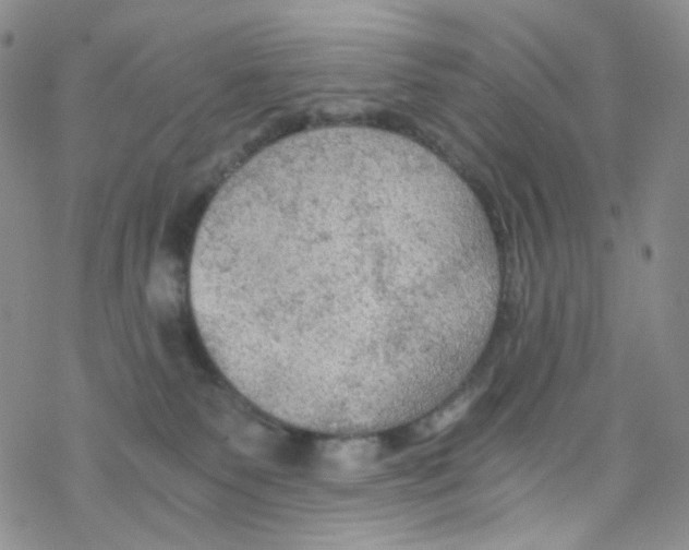 X0000076350135200610272129