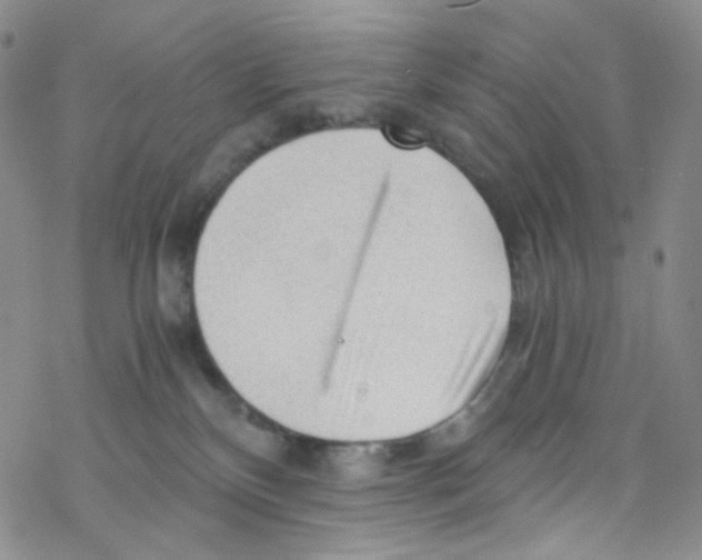 X0000076350136200610272129