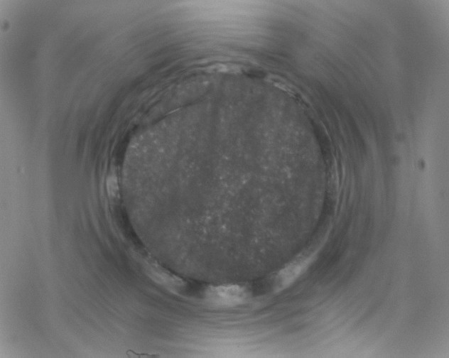 X0000076350137200610272129