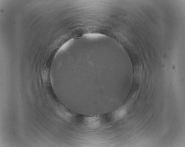 X0000076350139200610272129