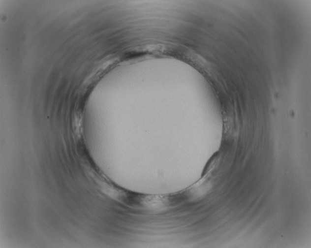 X0000076350142200610272129