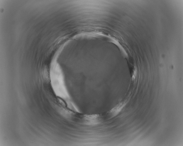 X0000076350143200610272129