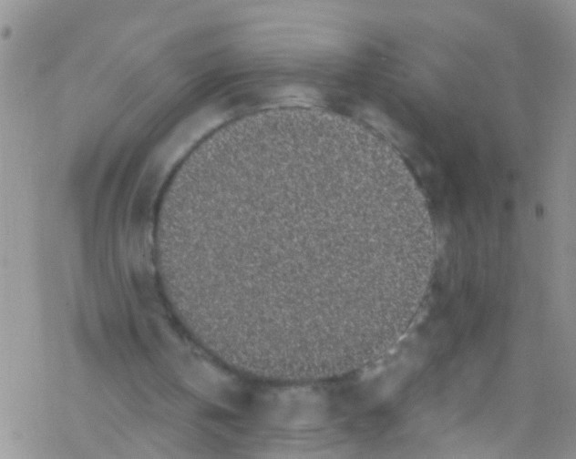 X0000076350146200610272128