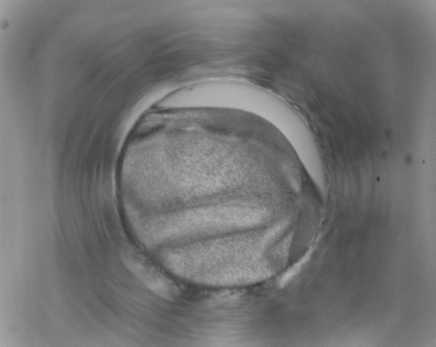 X0000076350148200610272128