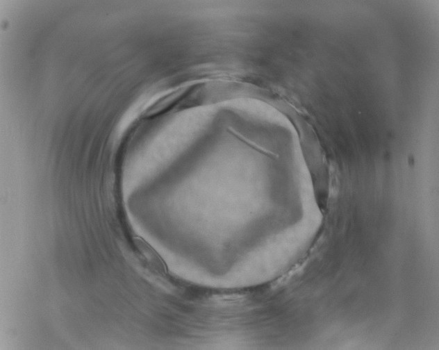 X0000076350150200610272128