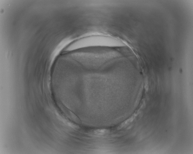 X0000076350152200610272128