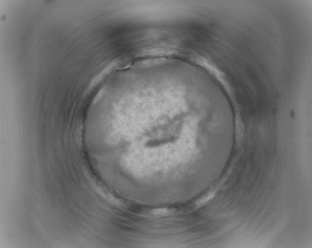 X0000076350153200610272128