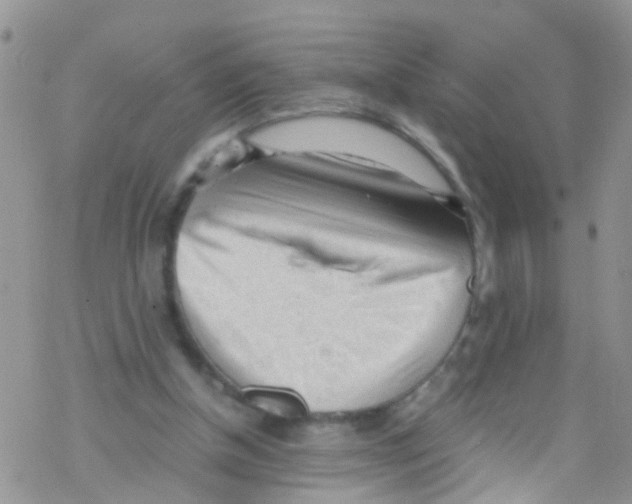 X0000076350154200610272128