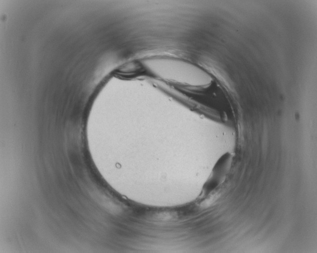 X0000076350156200610272128