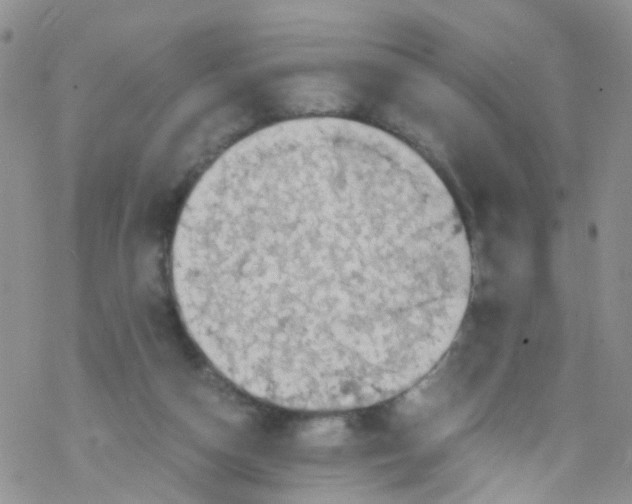 X0000076350162200610272129