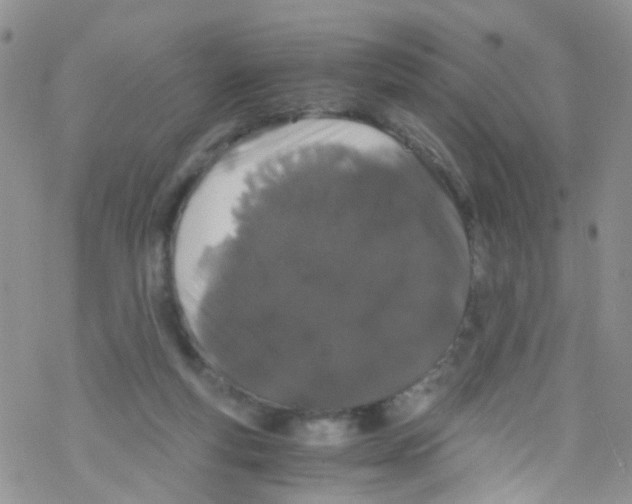 X0000076350163200610272129