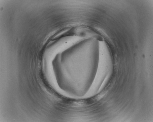 X0000076350164200610272129