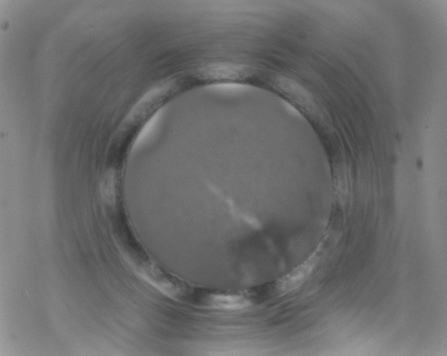 X0000076350167200610272129