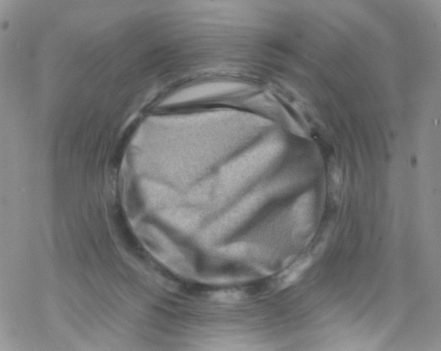 X0000076350168200610272129