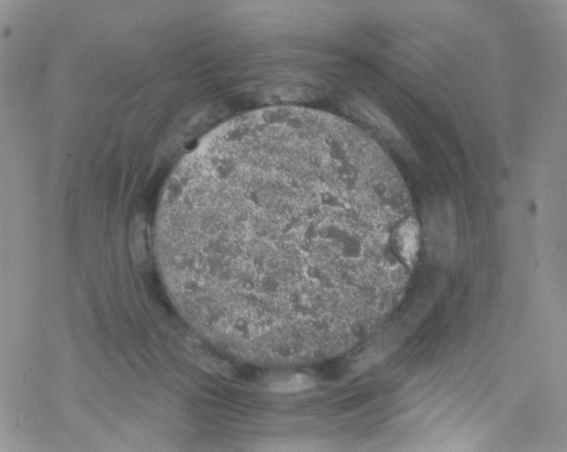 X0000076350169200610272129