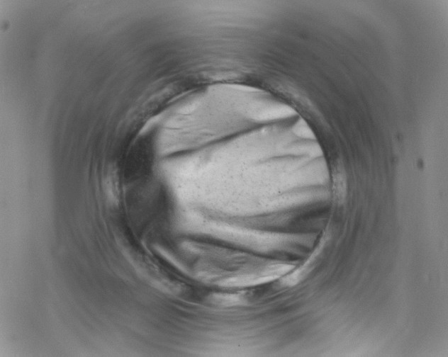 X0000076350170200610272129