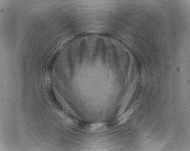 X0000076350172200610272129