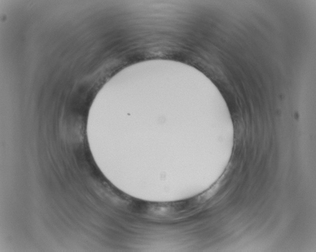 X0000076350174200610272129