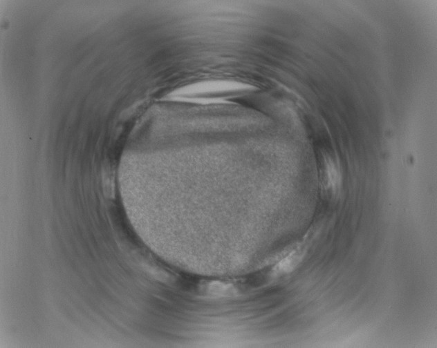 X0000076350180200610272129