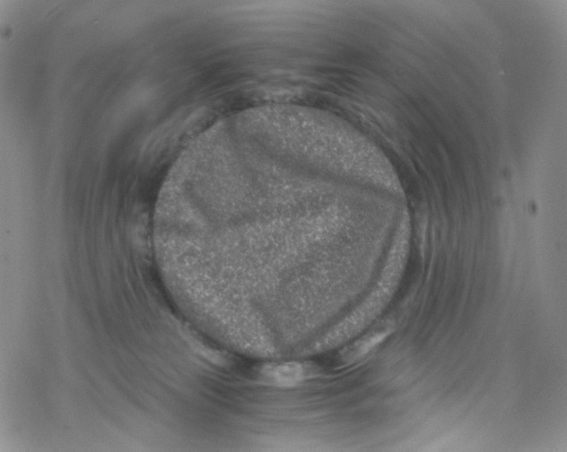 X0000076350181200610272129