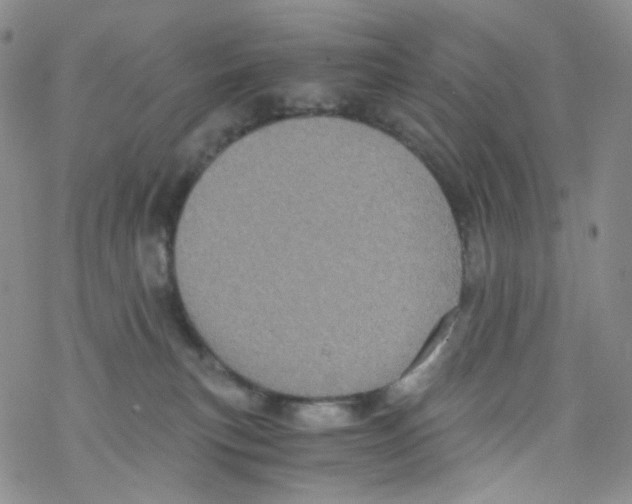 X0000076350183200610272129