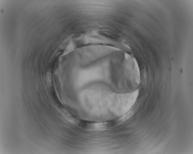 X0000076350184200610272129